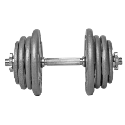 BELTOR HANTLA ŻELIWNA - CAST IRON DUMBBELL SZARA-HAMMERTONE 25kg / 28mm P0137